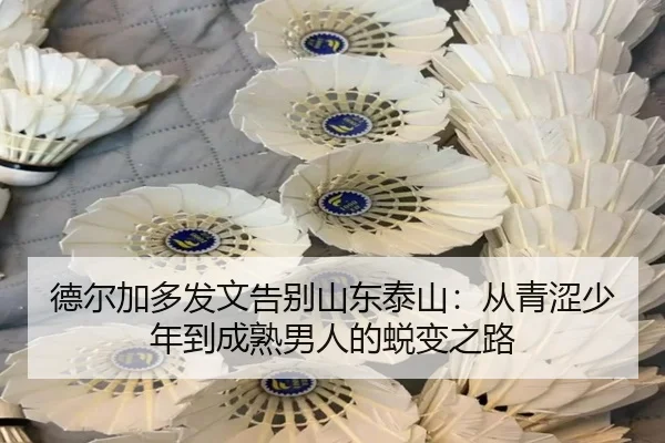 德尔加多发文告别山东泰山：从青涩少年到成熟男人的蜕变之路